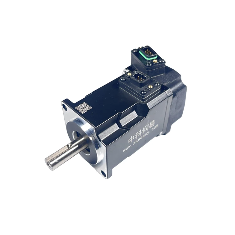 100 Watt AC Motor